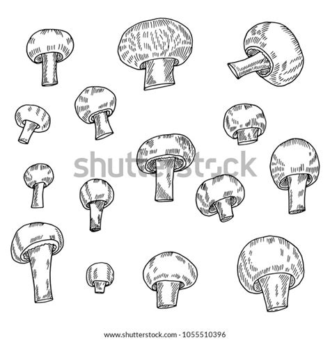 Hand Drawn Sketch Style Mushroomsvector Illustration Stock Vector