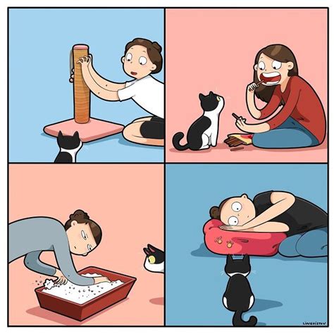 Artist Illustrates What Its Like To Live With A Cat 30 New Pics