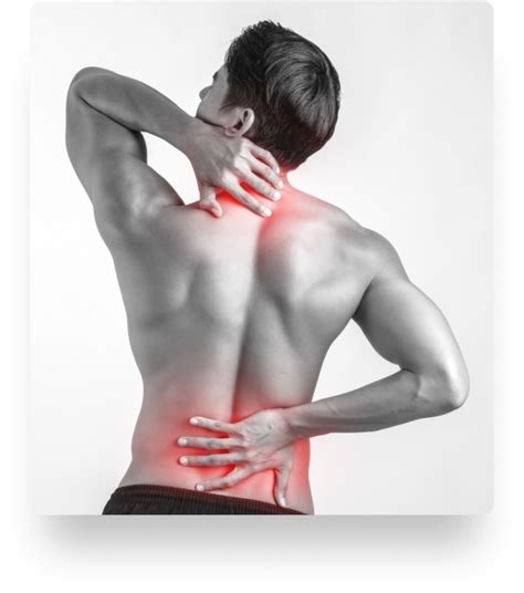 Lower back pain & muscle strain - Vita Fitness & Physical Therapy