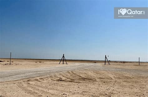 A Guide To Al Thakira Mangroves In Qatar