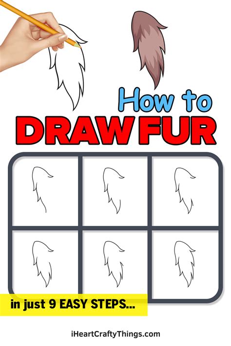 Fur Drawing - How To Draw A Fur Step By Step