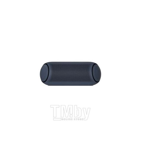 Купить портативная Bluetooth колонка LG XBOOM Go PL5 в Минске — TM.by