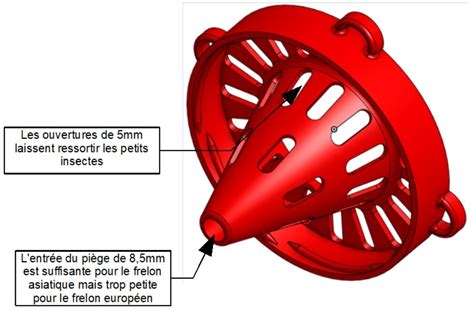 Fichier STL gratuit Piège sélectif frelon asiatique selective asian