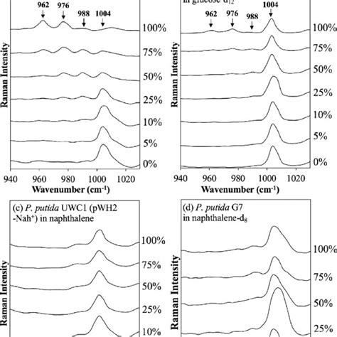 Pdf Raman Dip Deuterium Isotope Probing Reveals Microbial