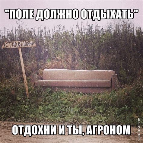 Веселый мельник #КомбикормаДляЖивотных #Мука #Сахар #Крупы #Серов ...
