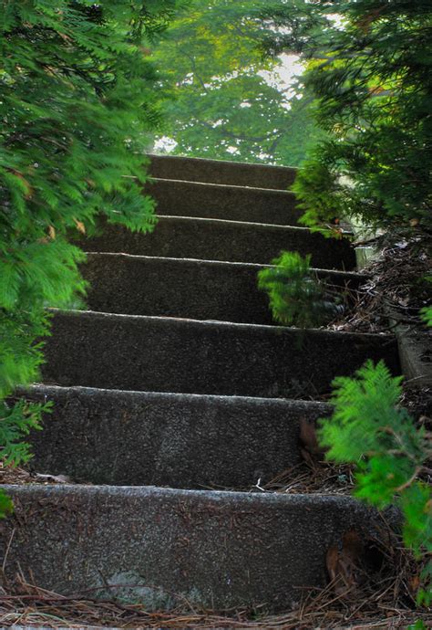 Steps Photograph By Jim Vance Fine Art America