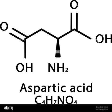 Struttura Molecolare Dell Acido Aspartico Formula Chimica Scheletrica