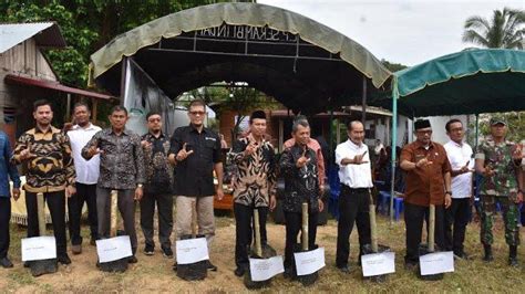 Pj Wali Kota Langsa Buka Kegiatan Gerakan Tanam Hortikultura