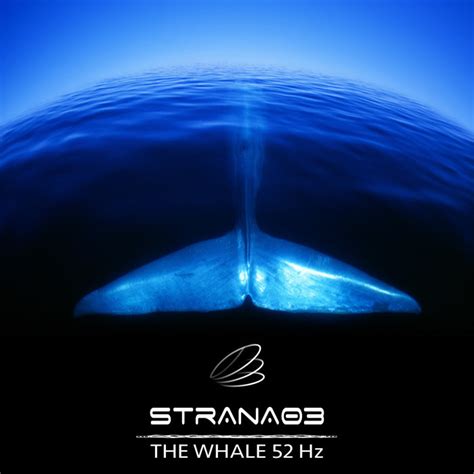 The Whale 52 Hz (24bit) | Strana 03 | Plexus Music