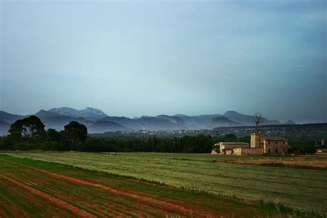 Field Mediterranean Agriculture - Free photo on Pixabay - Pixabay