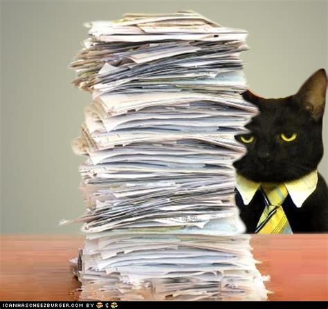 Business Cat Meme Blank