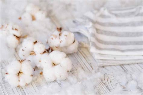 Egyptian cotton - Swan Bazaar Blogs