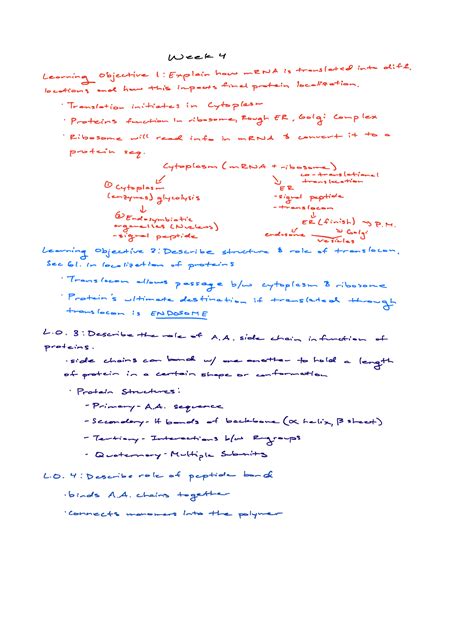 Bio 230w Exam 2 Covering Week 4 To Week 6 Of The Semester Ranging