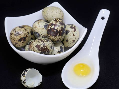 Top Health Benefits Of Quail Eggs Boldsky