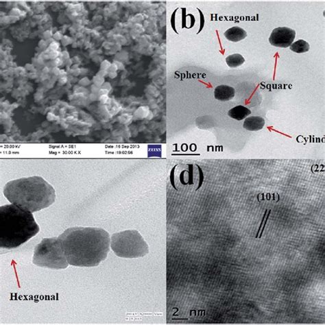 A High Magnification FE SEM Micrographs Of The As Prepared CdO ZnO