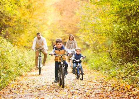 Center Parcs Bike Hire Everything You Need To Know In 2024