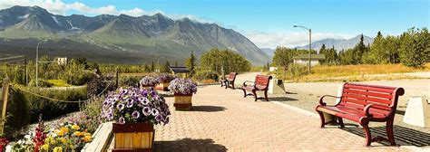 Haines Junction Yukon - Everything you need to know before you visit