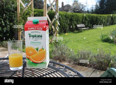 Family-size Tropicana orange juice carton next to a half full glass on ...