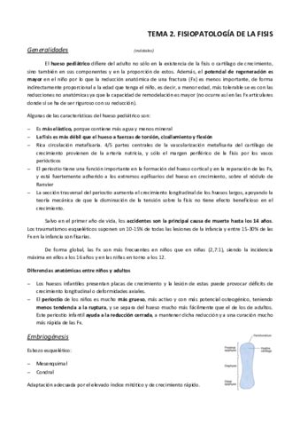 Tema Fisiopatolog A De La Fisis Pdf