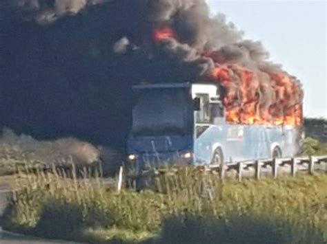 Ancora Paura Sugli Autobus A Fuoco Il Mezzo Flixbus Partito Da Termoli