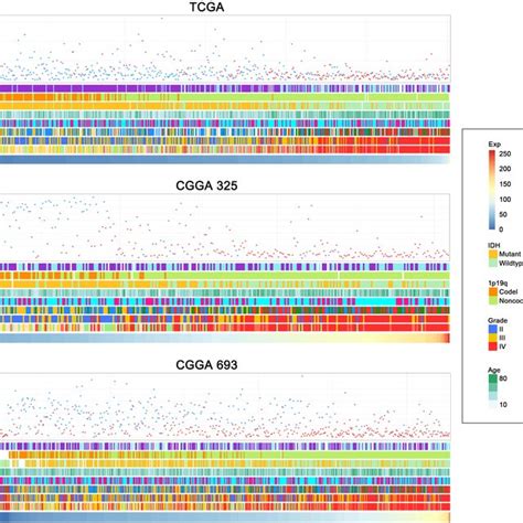 Ak Expression Of Mrna And Protein Level Between Gliomas And Normal