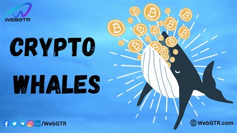 What Is Crypto Whales Crypto Whales Whether Individuals Or By