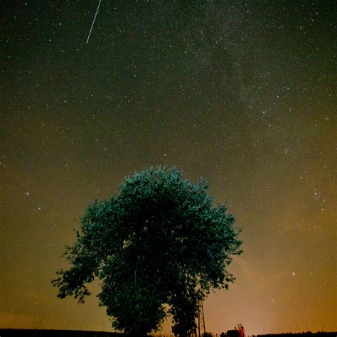 Nuits Des Toiles Comment Bien Observer La Pluie D Toiles