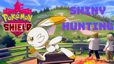 🔴live Shiny Hunting Egg Encounters For Scorbunny In Sword Shield 1375