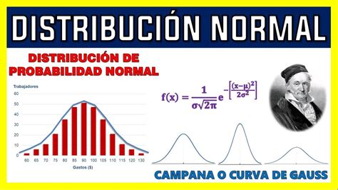 TEORÍA DE LA DISTRIBUCIÓN NORMAL - YouTube 