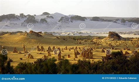 Sunset In Nambung National Park Pinnacle Desert Cervantes Australia