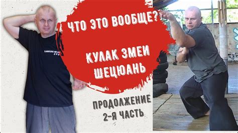 Кулак змеи - что это такое? Шецюань. Продолжение. - YouTube