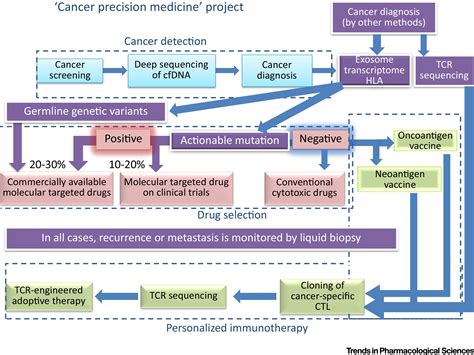 Cancer Precision Medicine From Cancer Screening To Drug Selection And