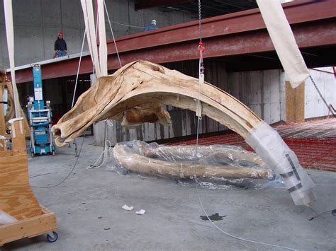 Museum of the Earth - IWEISS