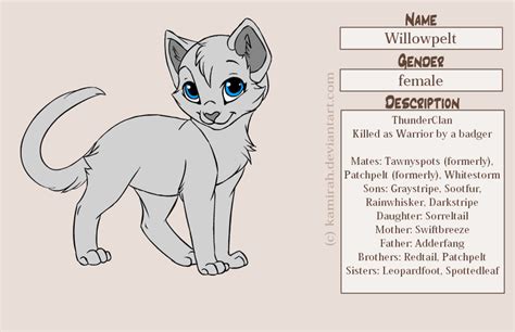 Warriors Willowpelt By Marauderwolf93 On Deviantart Warrior Cats Art Warrior Cats Name