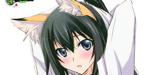 Infinite Stratos Shinonono Houki Hyper Sexy Miko Kitsune Render Ors Anime Renders