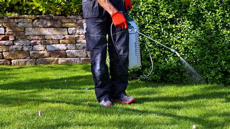 Lawn Fertilizer Service Super D Pest Control