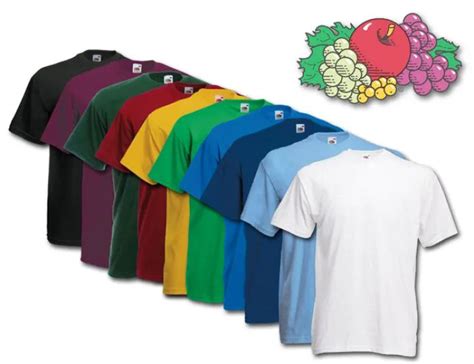 100 Wholesale Fruit Of The Loom Mens Assorted T Shirts, Assorted Colors ...