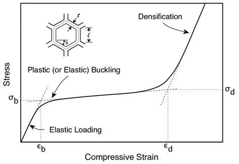 Schematic View Of A Transverse Compression Stress Strain Curve For