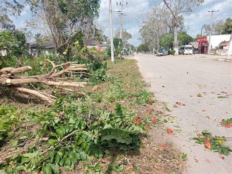 Fuertes Vientos Sorprenden A Yucatecos En Todo El Territorio