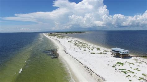 medical marijuana doctors  dog island florida compassionate healthcare  florida