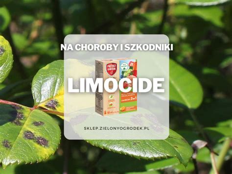 Limocide Jak działa Jak stosować Gdzie kupić Sprawdź Zielony Ogródek