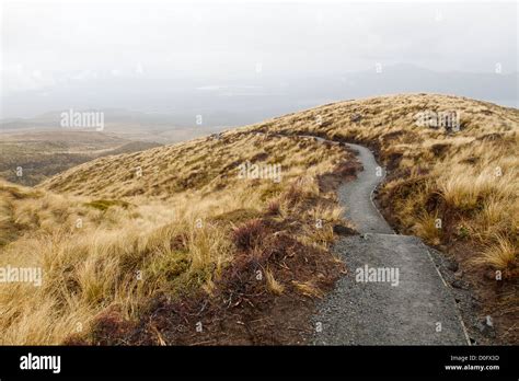 Section of the Tongariro Alpine Crossing hiking trail, in Tongariro ...