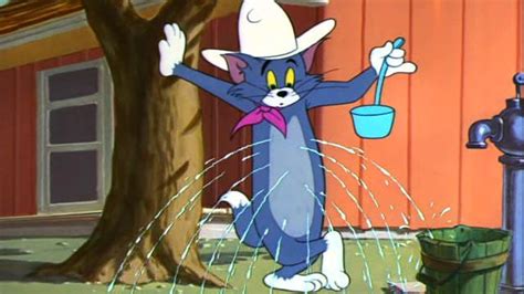 Posse Cat Tom And Jerry Cartoon Short Film