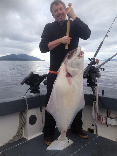 Halibut Fishing Charters In Alaska Anglers Adventures