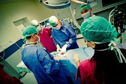 Surgical Facility - GLPigs