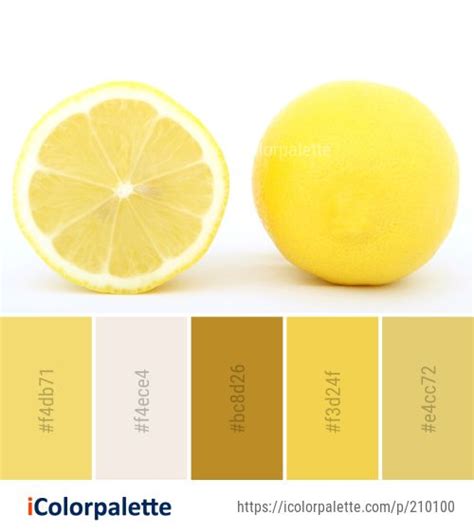 Lemon Lime Color Palette Ideas In Icolorpalette Color