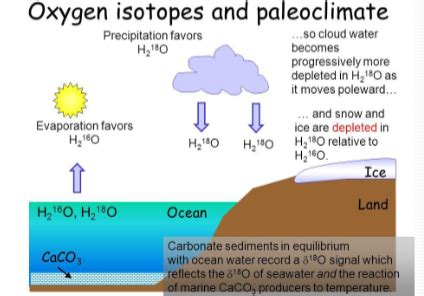 Exam Climate Change Flashcards Quizlet