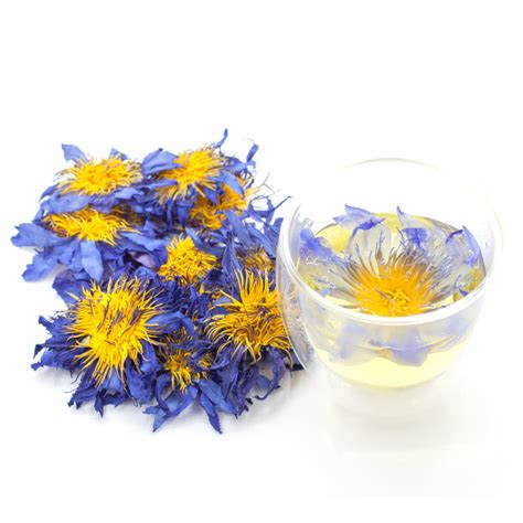 Blue Lotus Flower Tea Benefits | Best Flower Site