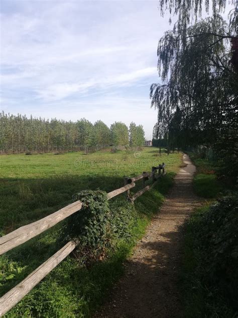 Vertical Of Narrow Dusty Road With A Wooden Bench Around And Sunlit