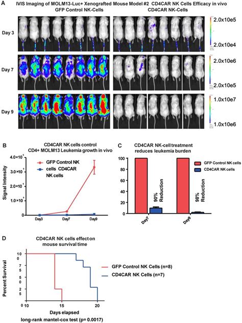 Cd4car Nk 92 Cells Demonstrate Profound Anti Leukemic Effects In Vivo